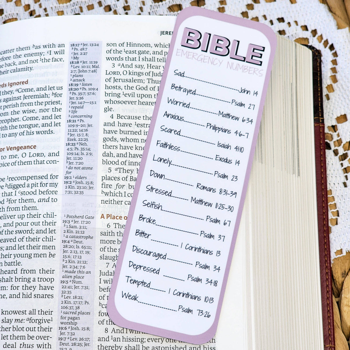 Bookmark - Blush Bible Numbers