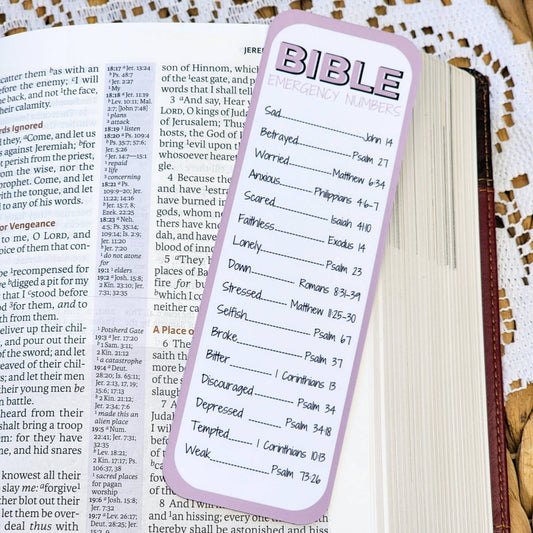Bookmark - Blush Bible Numbers